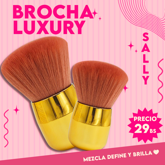 Brocha para Polvo Sally