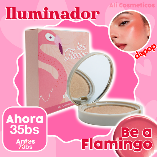 Iluminador Be a Flamingo