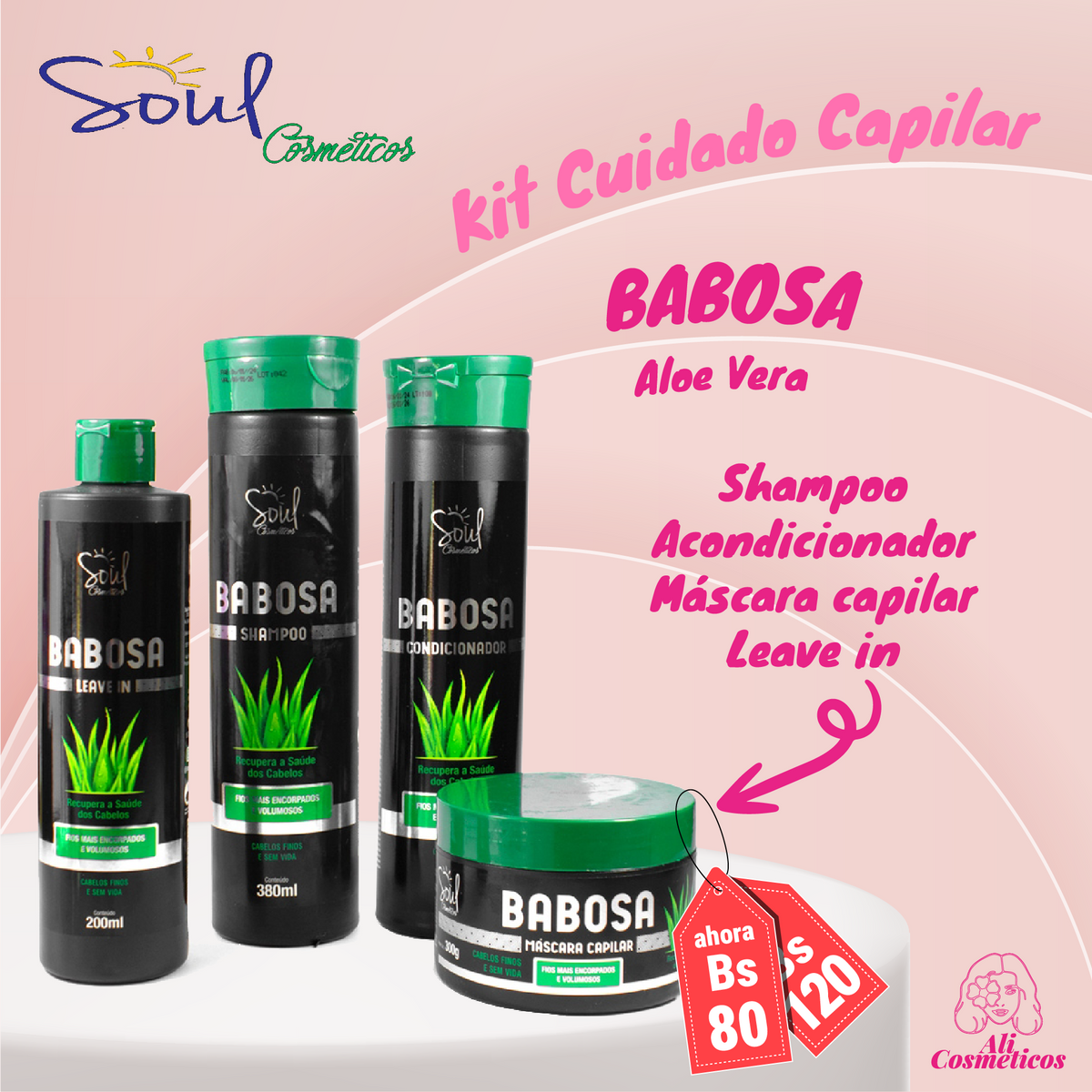 Kit de Cuidado Capilar Babosa Soul Cosméticos