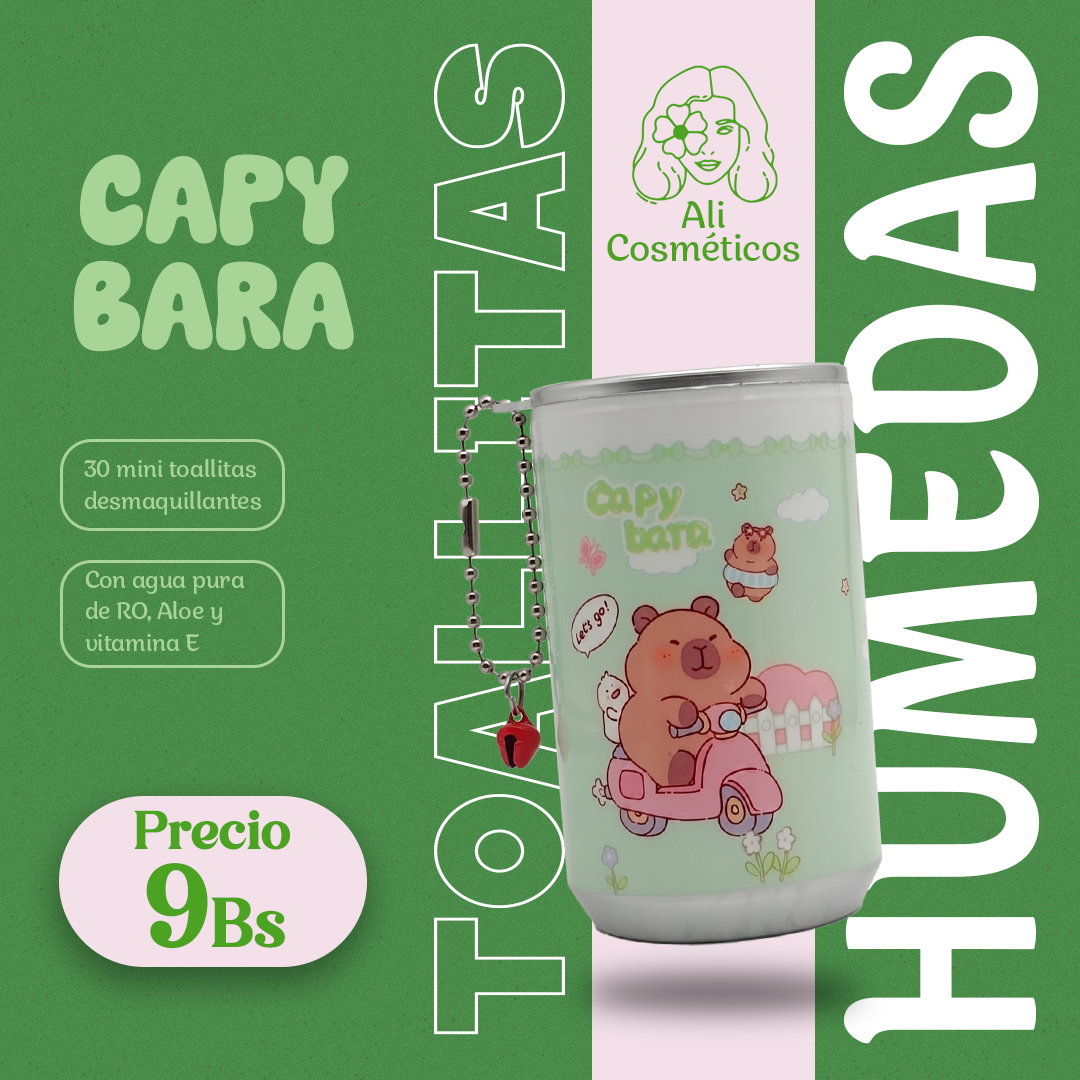 Toallitas Húmedas Mini Lata Cute