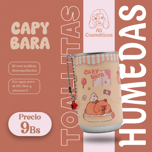 Toallitas Húmedas Mini Lata Cute