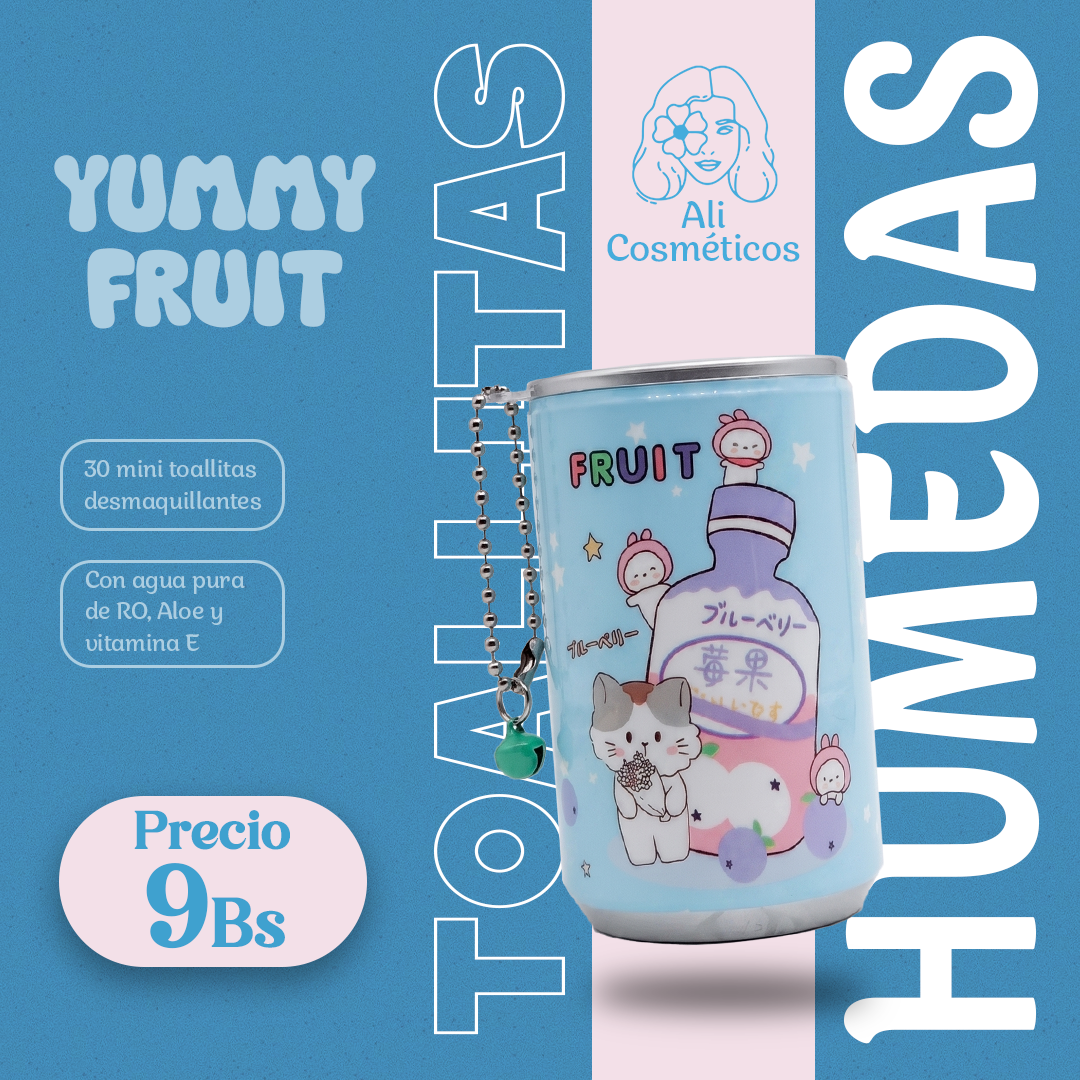 Toallitas Húmedas Mini Lata Cute